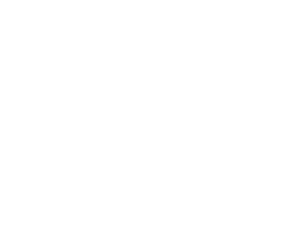 Corona Capital GDL