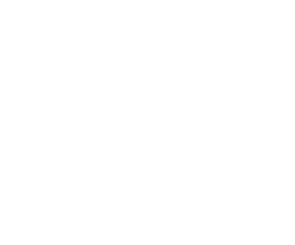HNK Silver Live Out